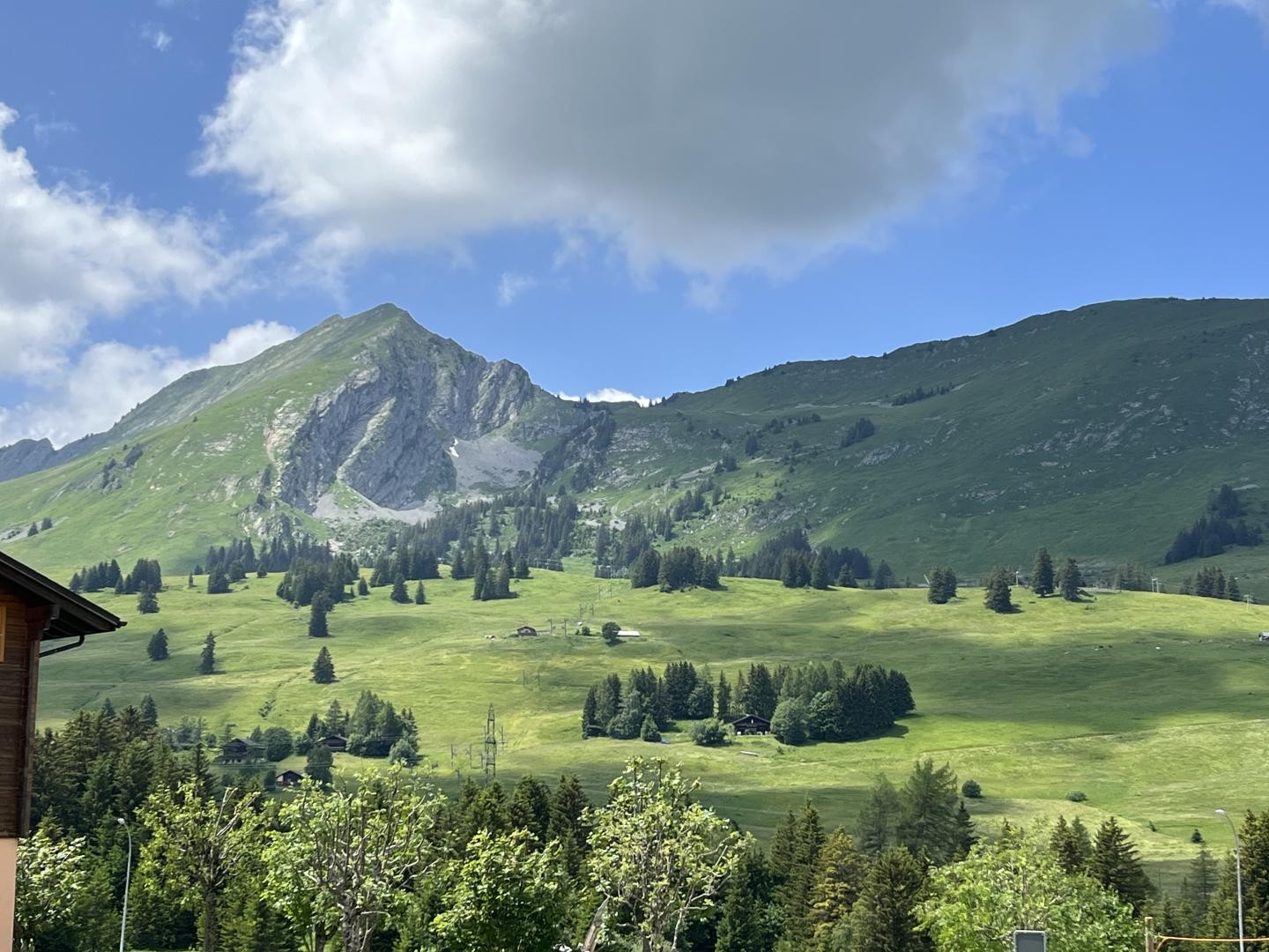 Appartement 2.5 pièces aux Mosses