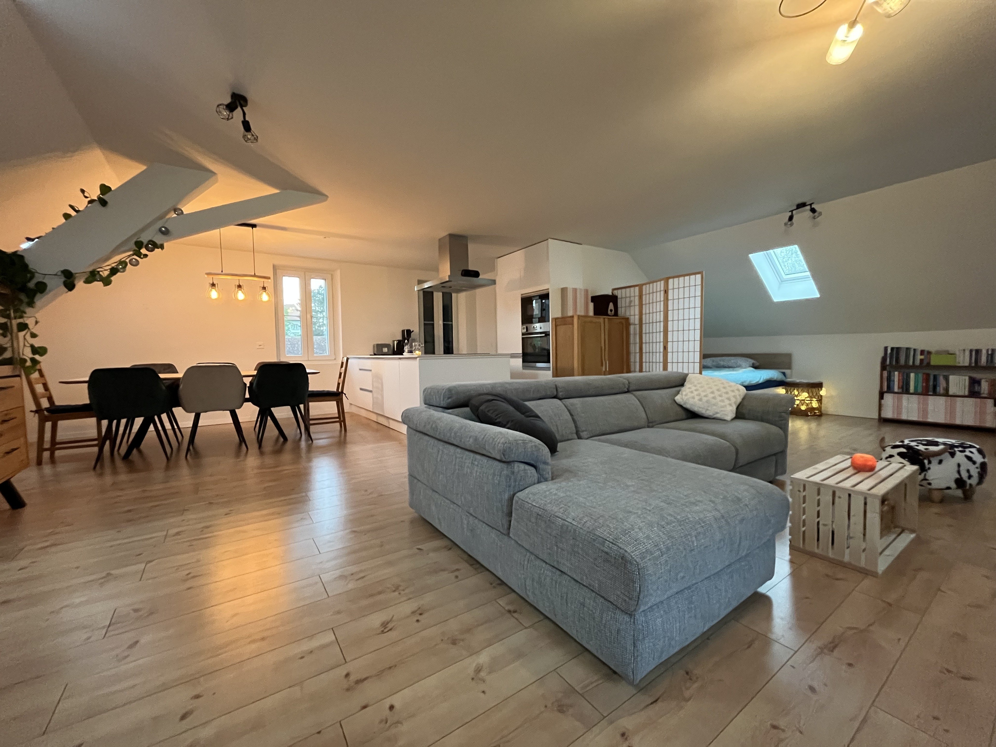 Magnifique loft en attique