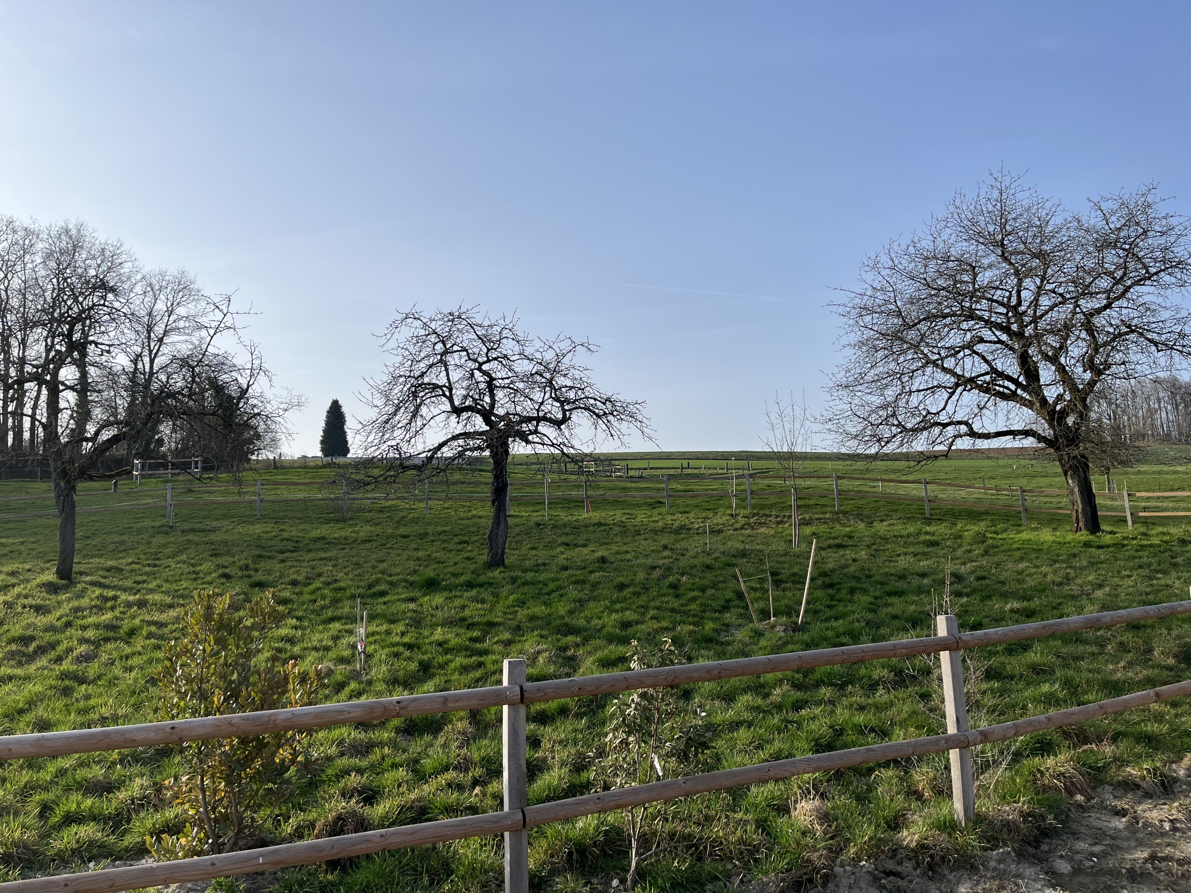 MAGNIFIQUE VILLA INDIVIDUELLE