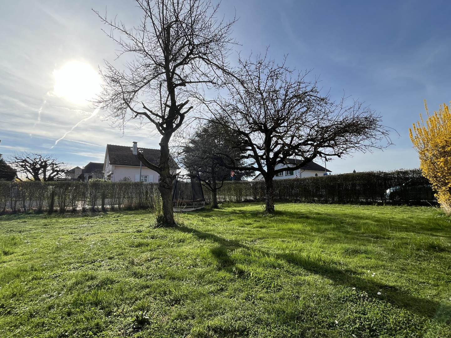Maison multi-appartements 7.5 pièces à Payerne