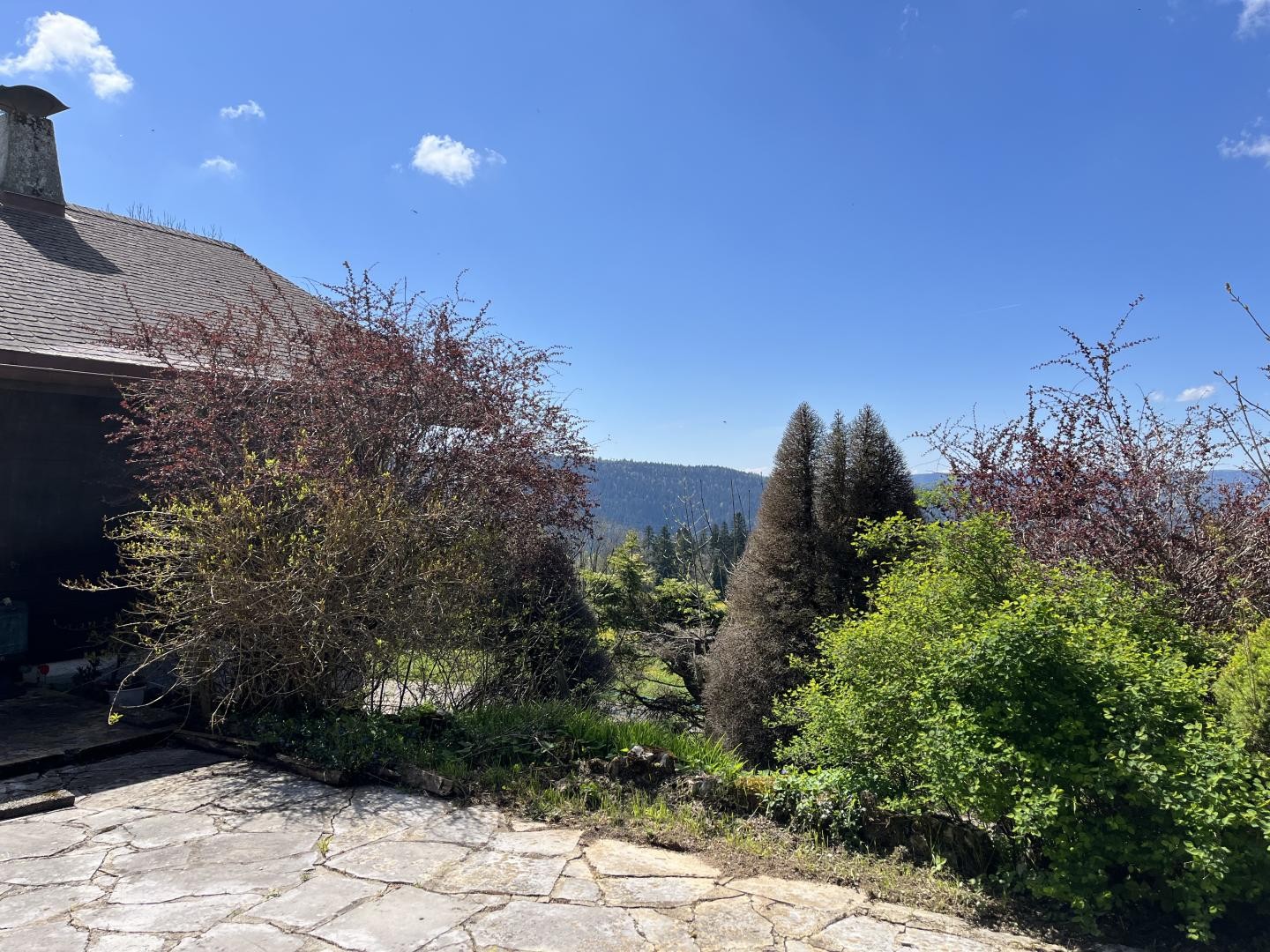 Chalet 4.5 pièces à La Sagne NE